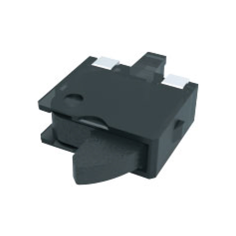 model-image