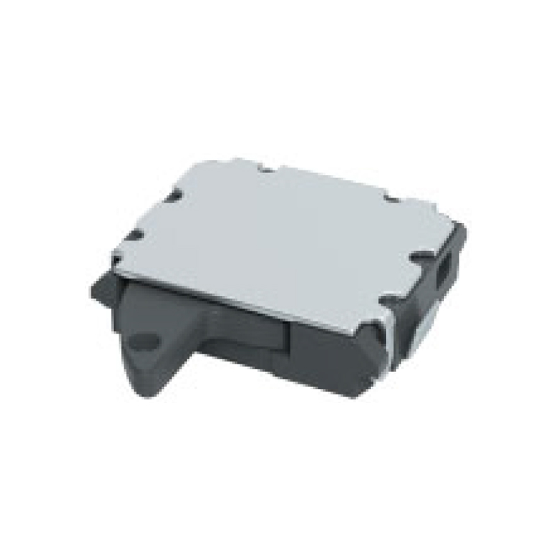 model-image