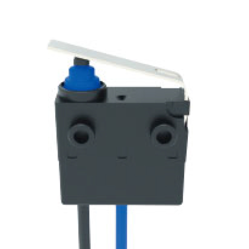 model-image