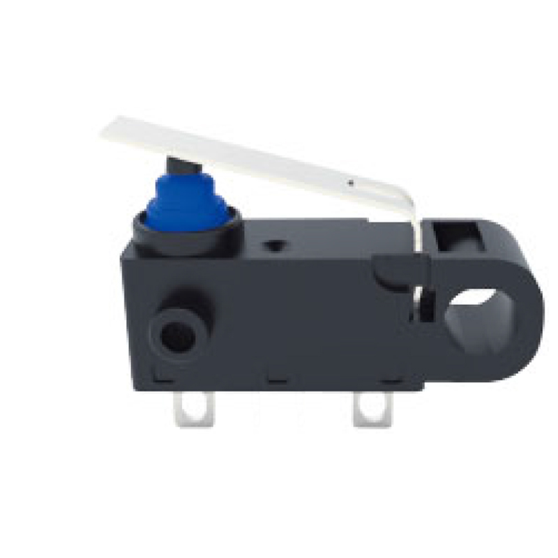 model-image