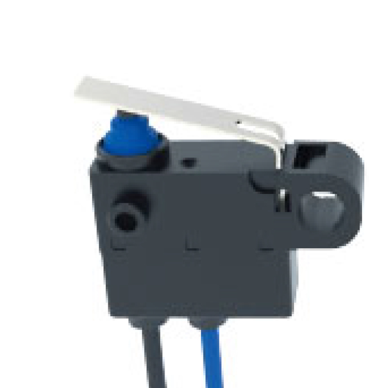 model-image