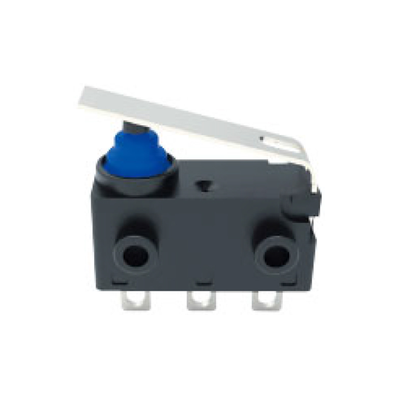 model-image