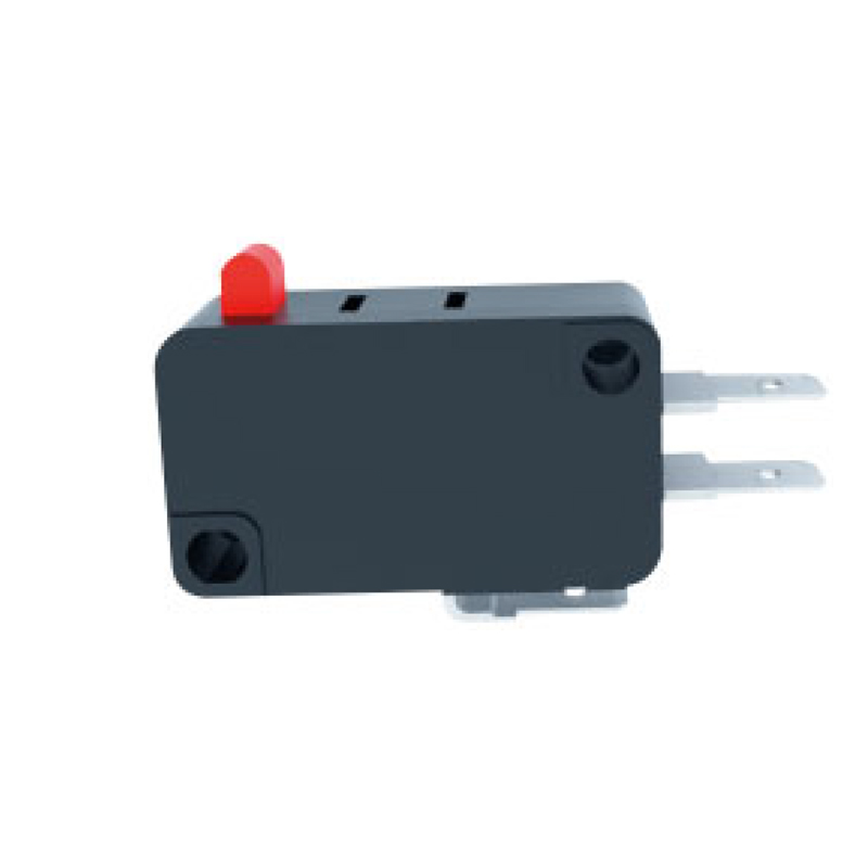 model-image