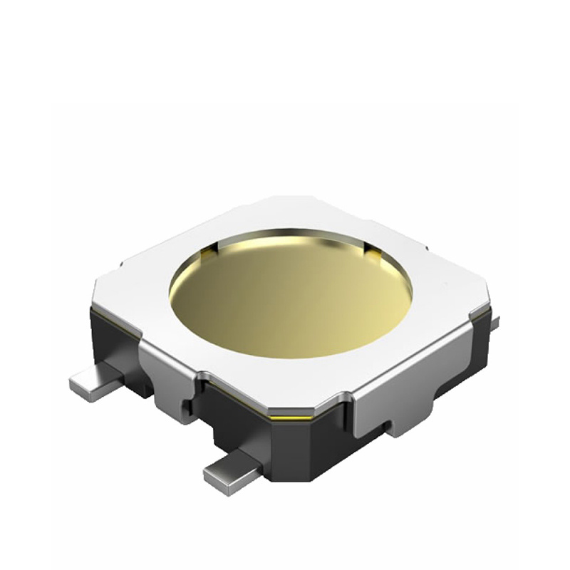 model-image