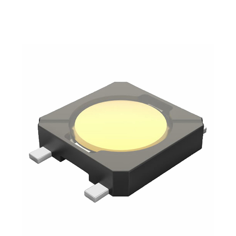 model-image