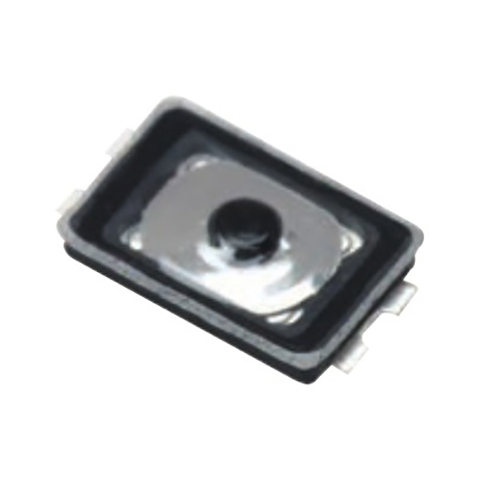 model-image
