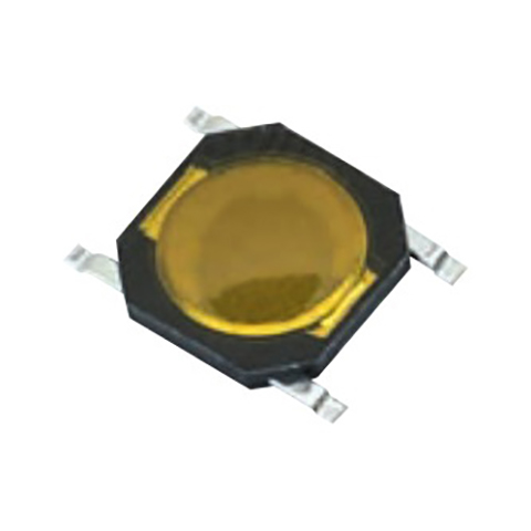 model-image