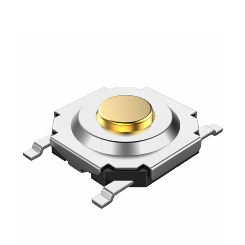 model-image