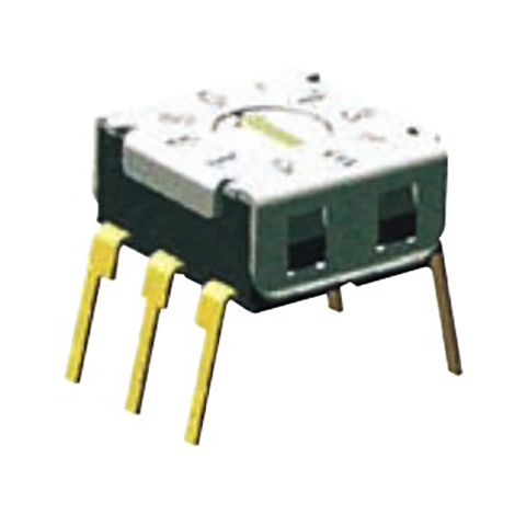 model-image