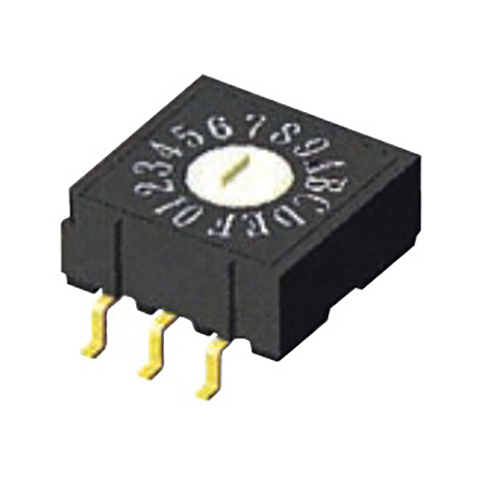 model-image