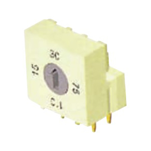 model-image